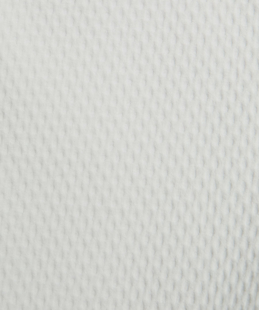 License to Train Textured JoggerRegular