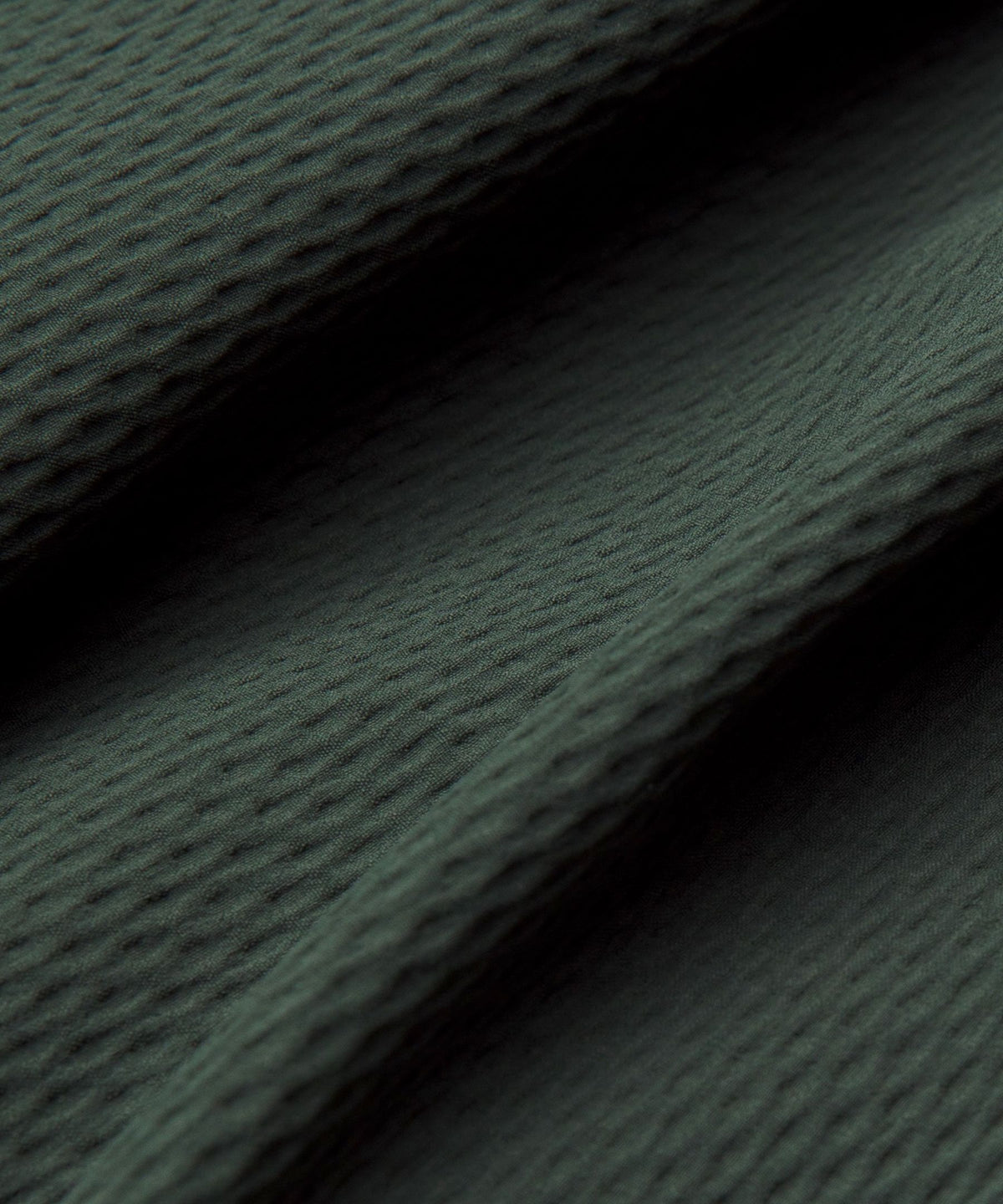 License to Train Textured JoggerRegular