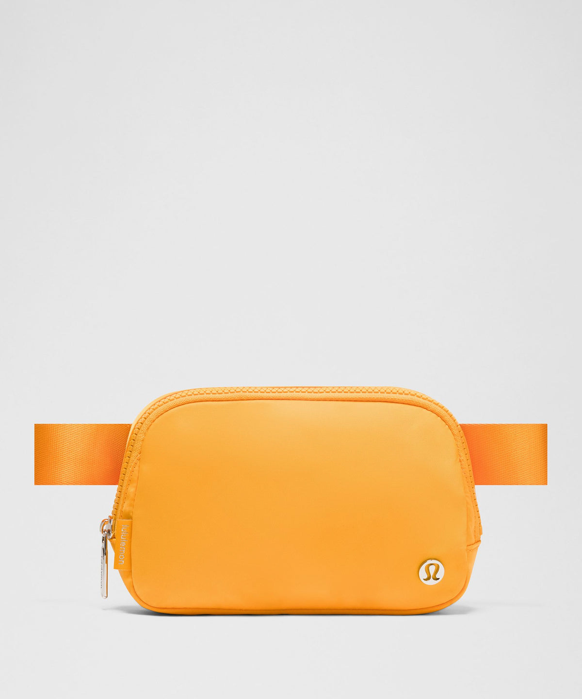Everywhere Belt Bag 1L