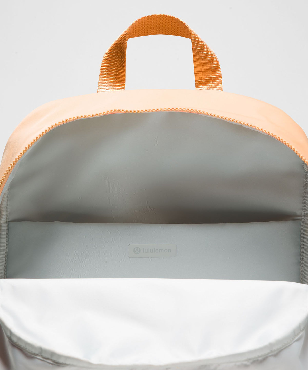 Everywhere Backpack 22L