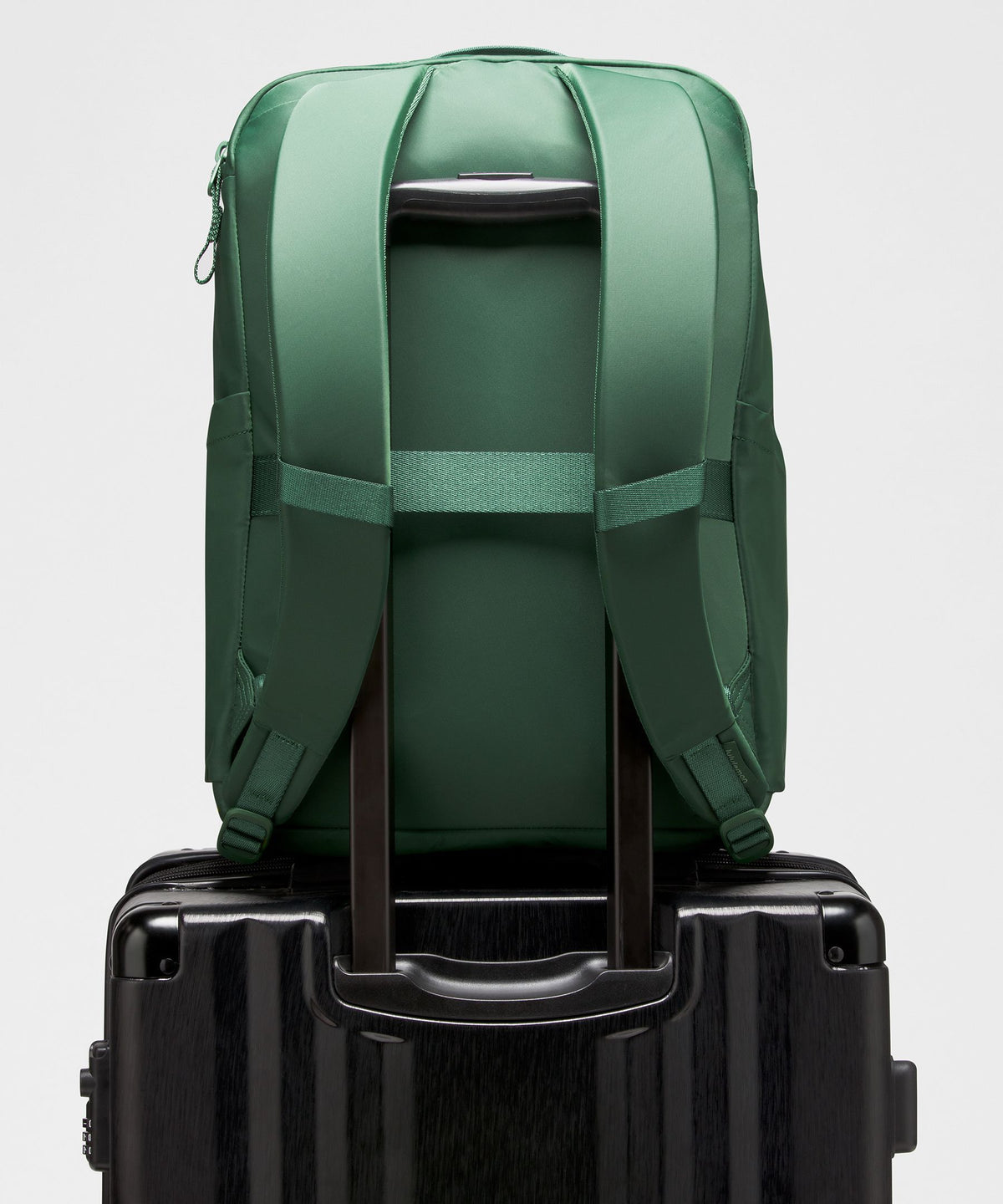 Everyday Backpack 21L